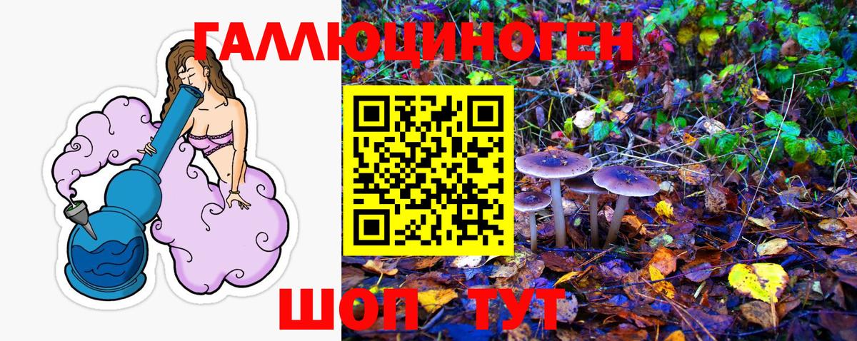 Псилоцибиновые грибы мицелий Киселёвск