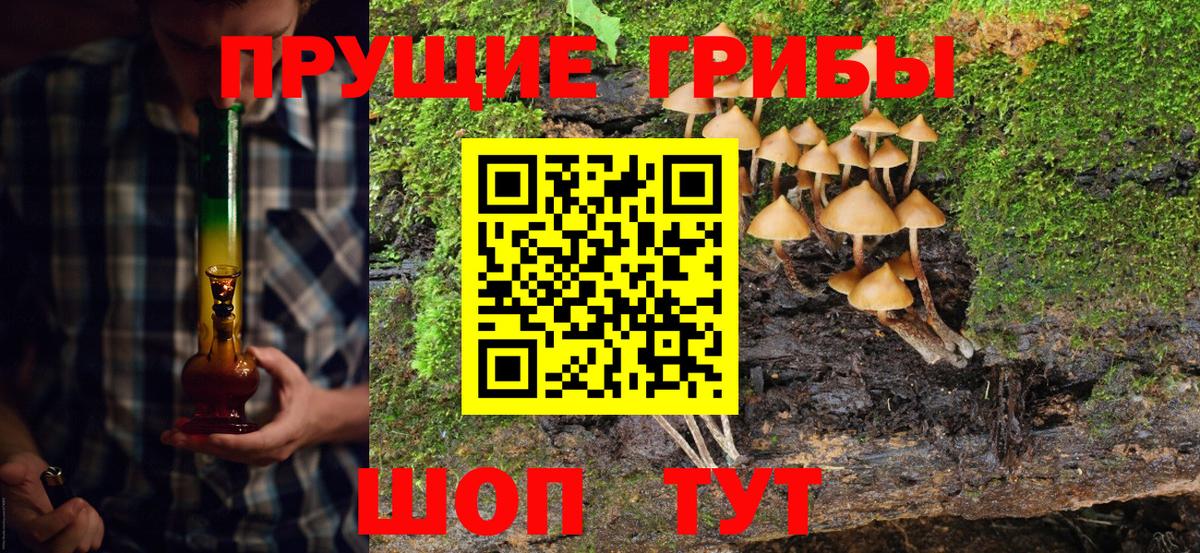 Галлюциногенные грибы GOLDEN TEACHER  Псилоцибиновые грибы Cubensis  Вход с VPN  Киселёвск 